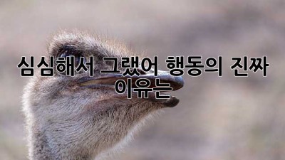 심심해서 그랬어: 행동의 진짜 이유는?