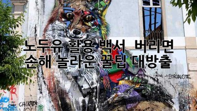노두유 활용 백서 🤩 버리면 손해! 놀라운 꿀팁 대방출